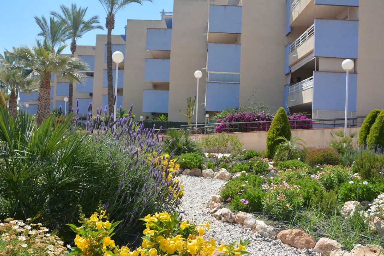 Апартаменты Cabo Roig Del Sol Ориуэла Экстерьер фото